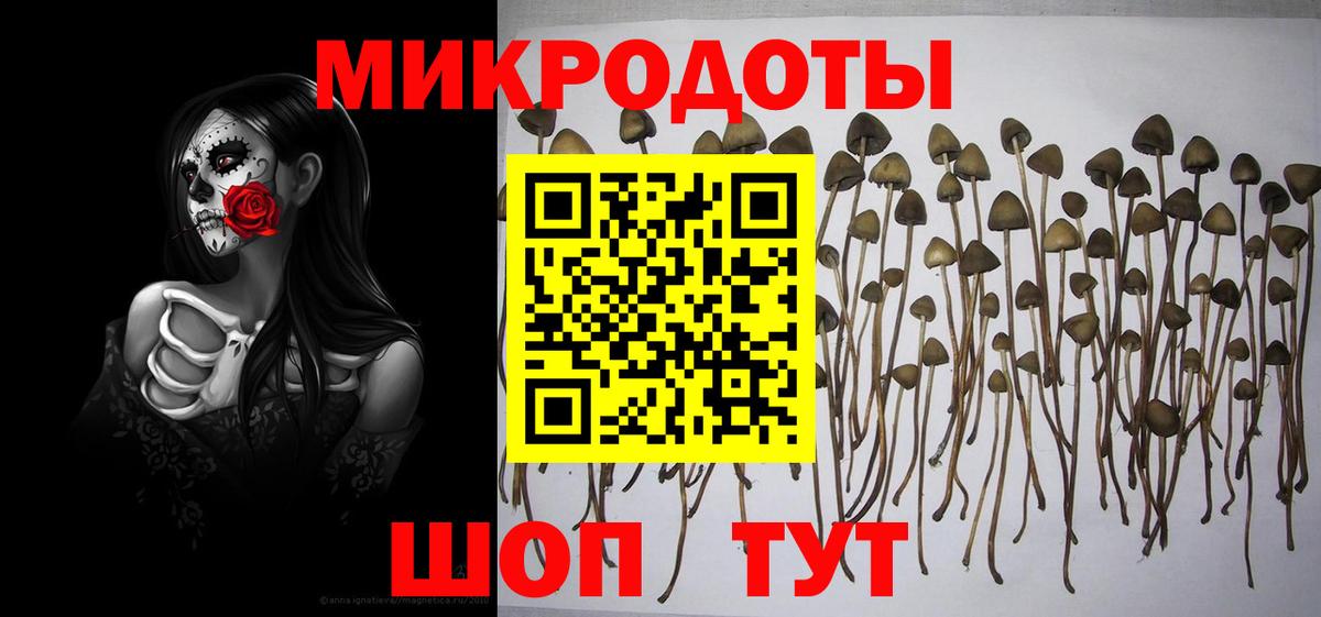 Галлюциногенные грибы Psilocybe  Псилоцибиновые грибы ЛСД  Вход с VPN  продажа наркотиков  Кинель 